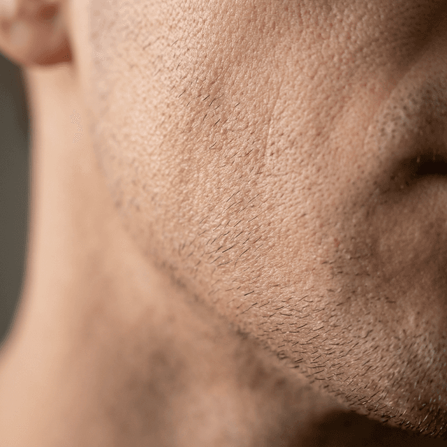 Base Layer moisturizer absorbed into skin — no residue